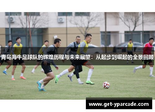 青岛海牛足球队的辉煌历程与未来展望:从起步到崛起的全景回顾 青岛海牛足球队的辉煌历程与未来展望:从起步到崛起的全景回顾