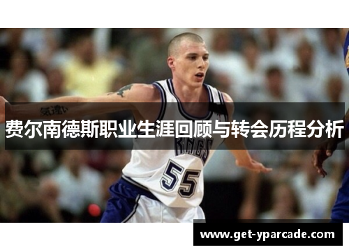 费尔南德斯职业生涯回顾与转会历程分析